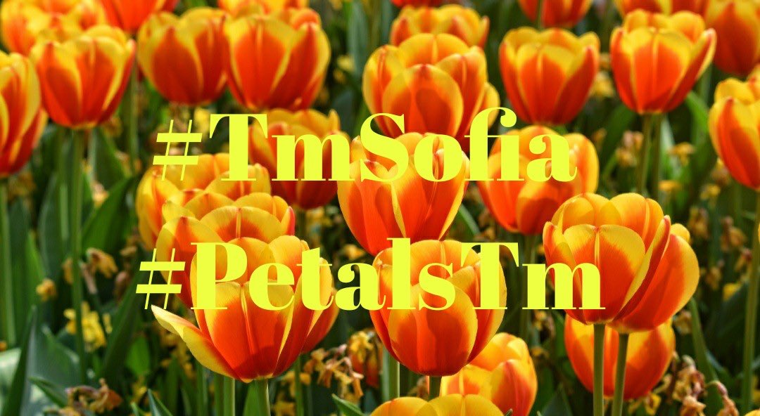 SueliRizzi3's tweet photo. #ReiDasIndicaçoes 
#TmSofia #PetalsTm 

@Spencerjames211
@WALLI27 @maddykins133 @LilianaRicci4 @ginestarros
@GRAHAM15583070 @PetalsTm 
@kittymayo7101 @FLWRTR
@lumpie125 @SueliRizzi3 
@tatysolcito @swydersk
@Tana_Pato @mvf7186 @de_morenoVR @de_moreno1
@Zeno_Mello @melo_zeno https://t.co/HMajm8p3up