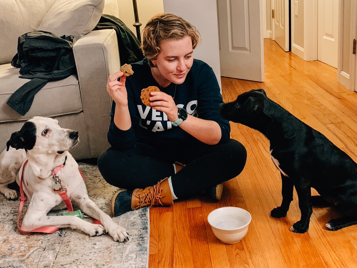guess who my patron is 🐈🐕🦮