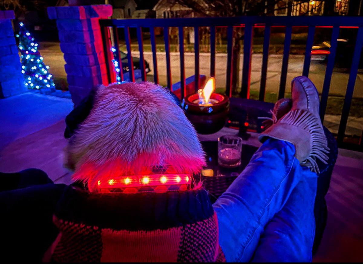 IgorPugDog's tweet photo. Saturday night “Porch Life” 🥃
#pug #saturdaynight #ldnont #firebiwl #leddogcollar #StayHomeStaySafe #puglife @Head_Lites https://t.co/0pyoHmRwaP