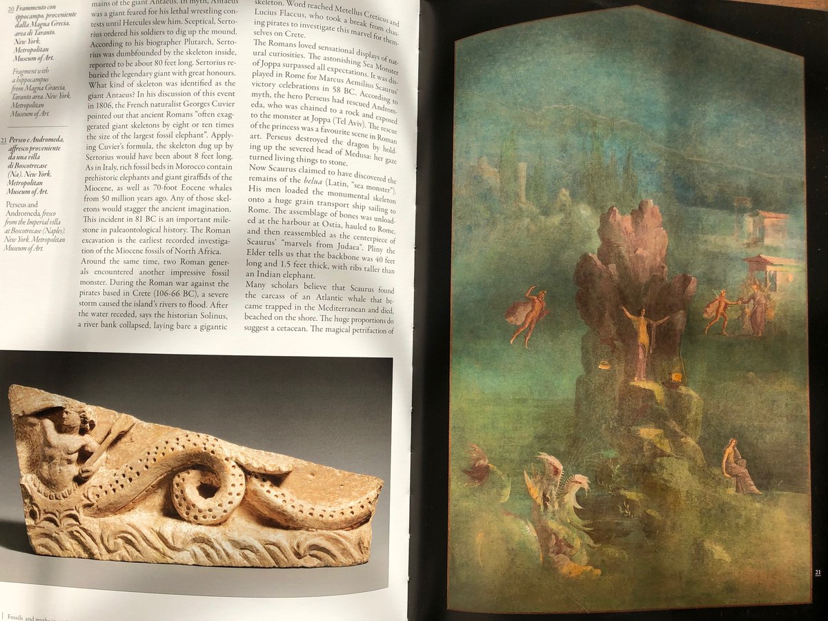 amayor's tweet photo. Fossils and Myths in Roman Times
https://t.co/KDMRdCAZ0a https://t.co/cElBqJWpuk