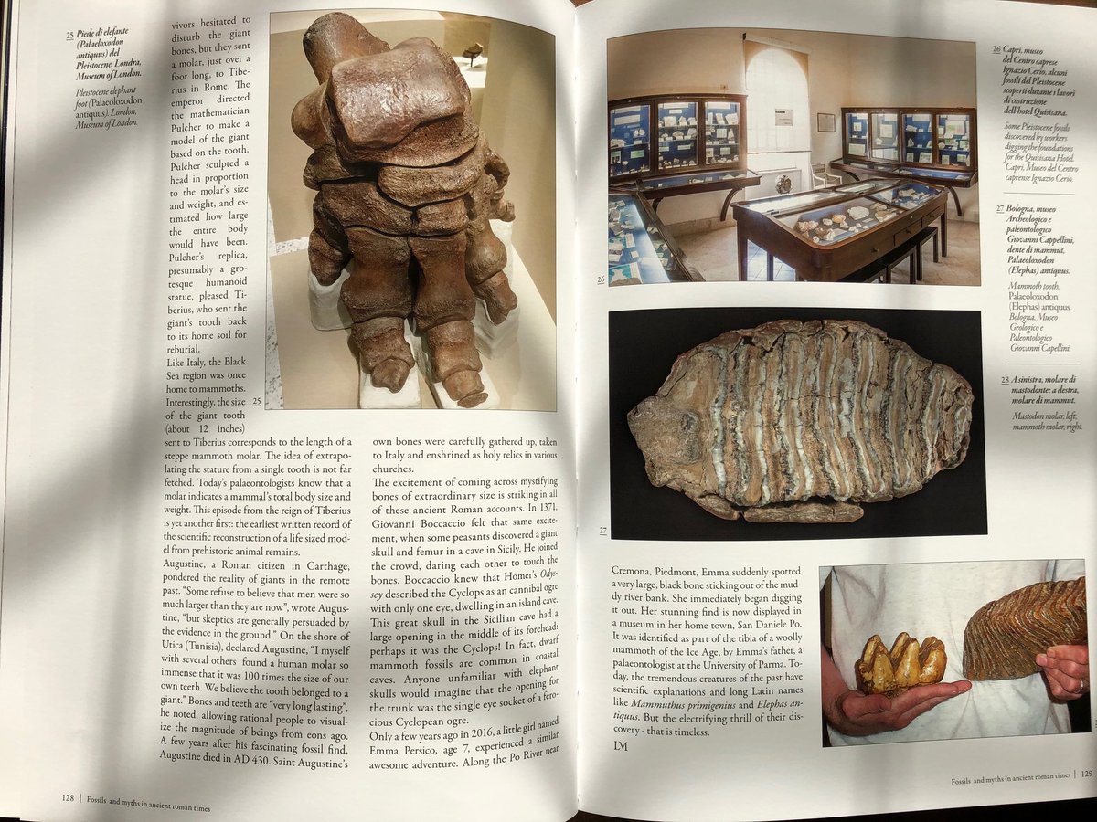 amayor's tweet photo. Fossils and Myths in Roman Times
https://t.co/KDMRdCAZ0a https://t.co/cElBqJWpuk