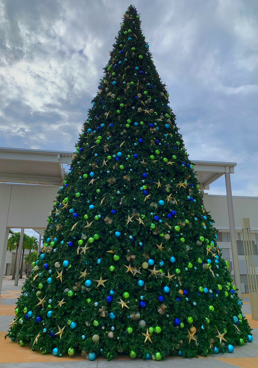 AshleyRSimeone's tweet photo. โIt's beginning to look a lot like Christmasโโญ๏ธ๐ถ๐๐
๐ฝ๐ #ChristmasTime #27MoreDays #ChristmasShopping #Perfection #MySaturday #TangerOutlets #DaytonaBeach https://t.co/ghEJYL9YFM