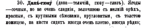 Dana gozu - calf's eyeShaftali -peach in tatar [AZE]"..in the city 4 types are cultivated, all of Tatar names"[Tatar-Azerbaijani in Russian sources)Chardakhdan-chikhma-alcha - alcha from chardag (attic-eng)Gokcha -green alcha