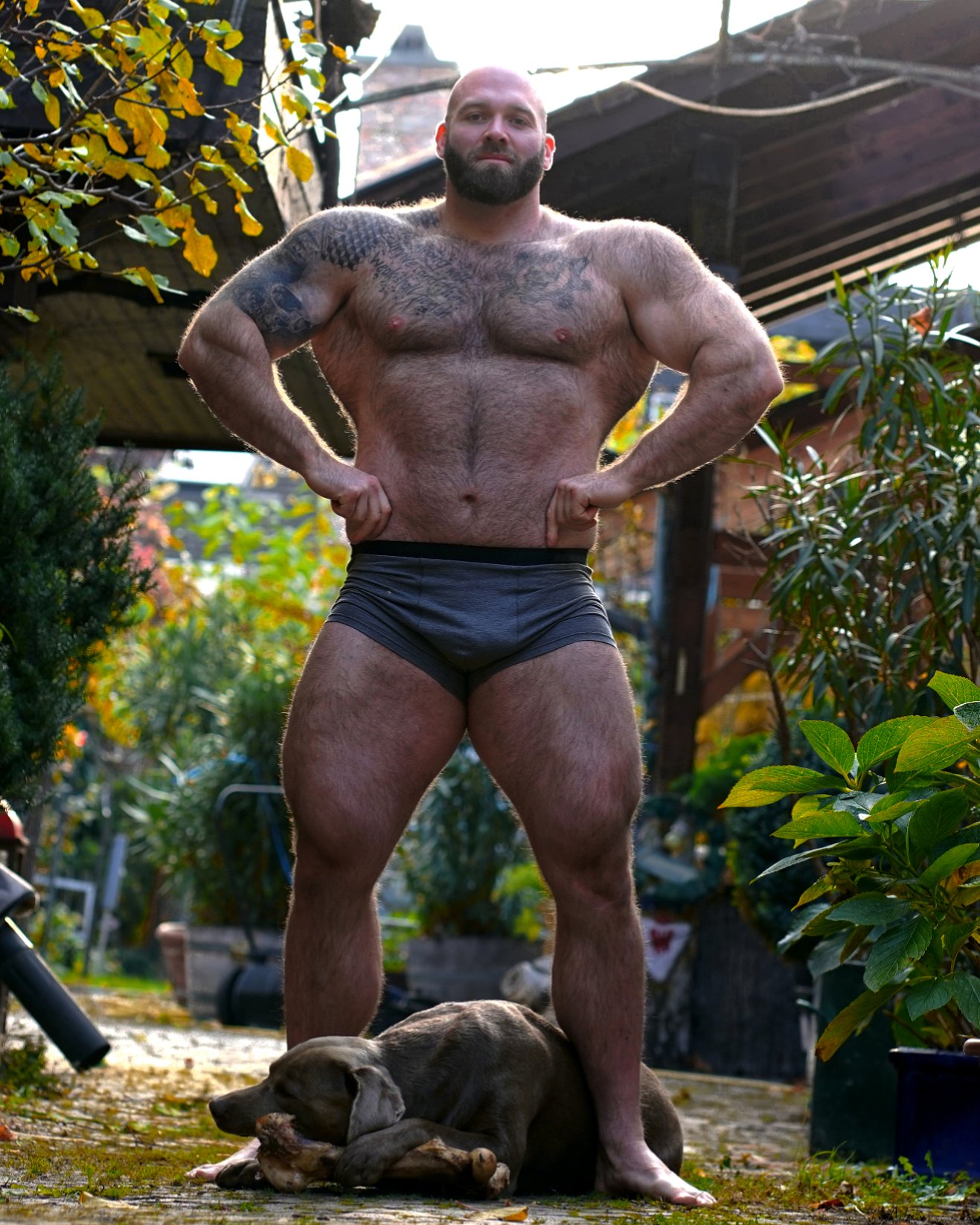 Gschiel Gerald The Human Bear on X:  ⬆️🔥FREE  ACCOUNT🔥⬆️ Pete Austria and I are planning a new projekt 💪😀📸 on . 165kg  375lbs vs 145kg 320lbs Pete is still growing 😳 . #