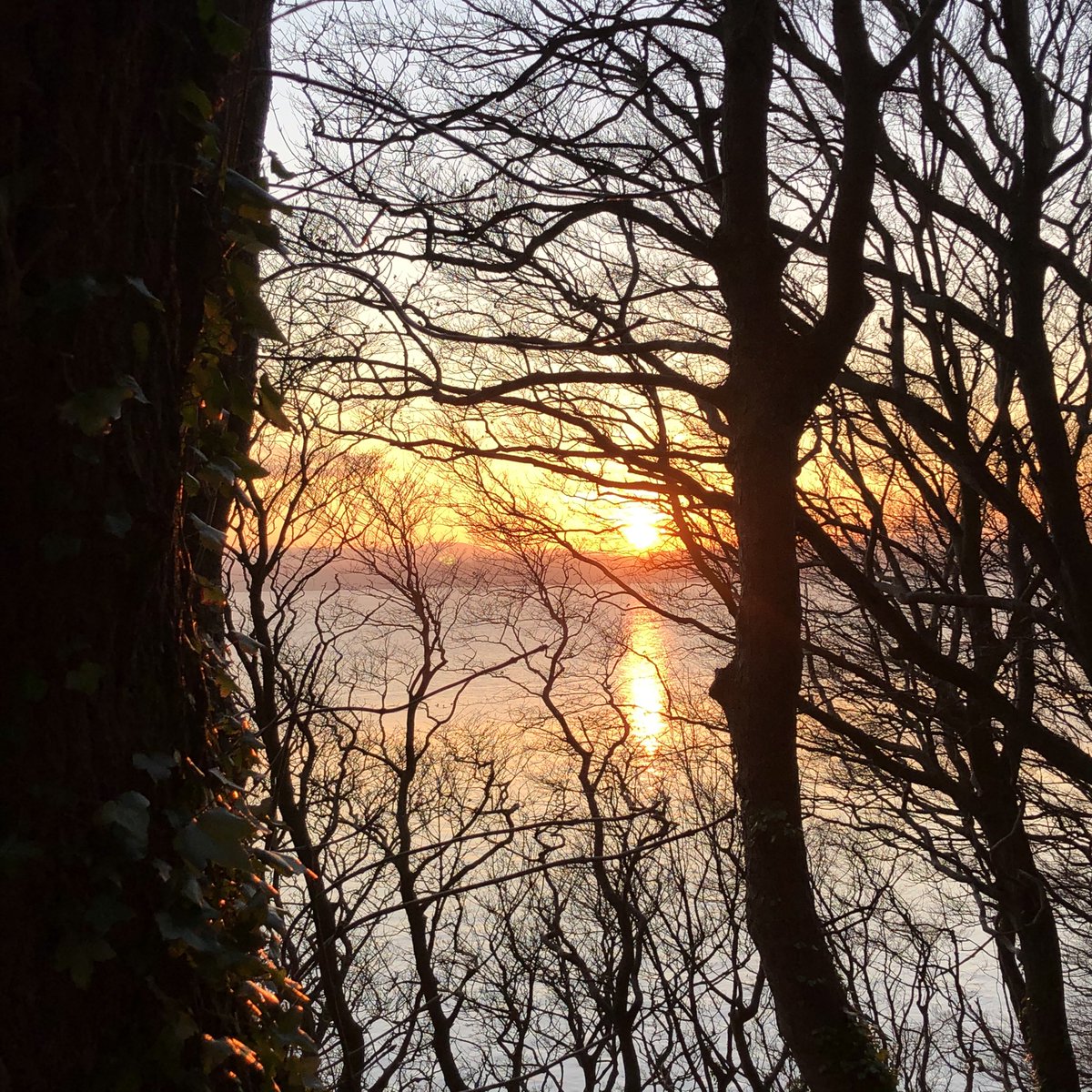 Gorgeous sunset tonight in Limekilns this afternoon