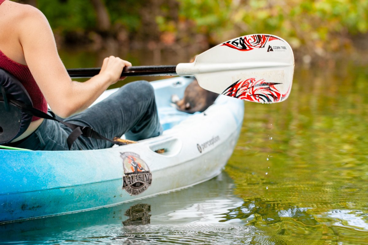 White River Kayaking & Outdoors tweet media