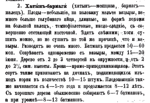 Type of plum Khatin-barmagi - woman's finger (AZE)Ceviz - walnut (Turkish). Type of walnut "Katan Koynak" which means " linen shirt" in AZE. Name indicating walnut's thin shell.Kara and kirmizi-kilas - black and red cherryBadam - Almond in Tatar [AZE]