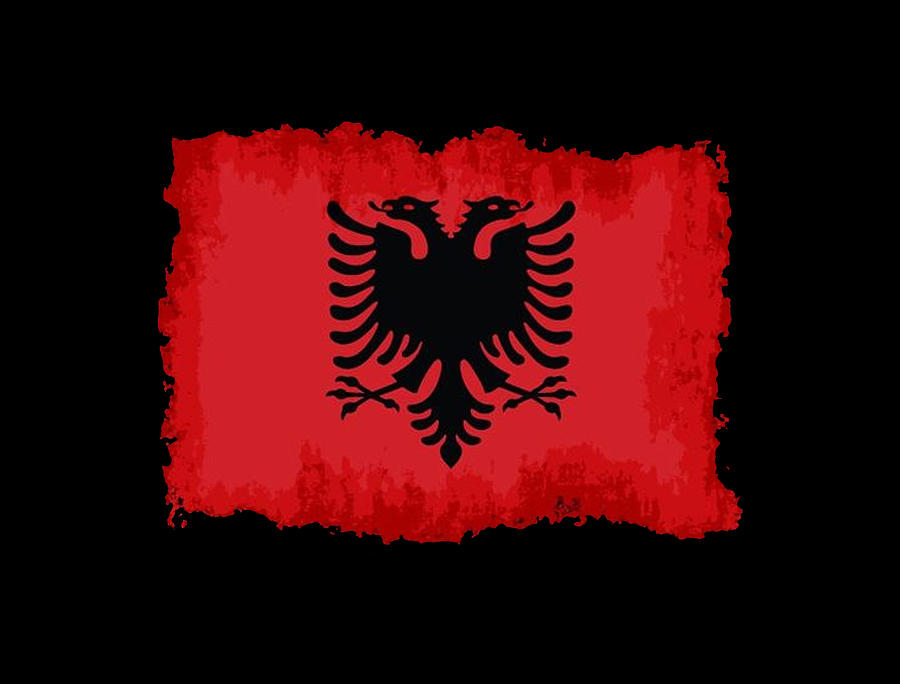 On each 28th of November a sense of belonging and coming together captures the hearts and minds of Albanians wherever they live, reminding us that we are more than the sum of our parts.

Happy Flag Day!