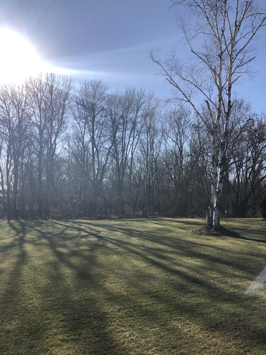 Cleaned up some hideous trees today!! Got to love Minnesota weather for its seasons November 28th, over 50°....green grass and beautiful sun!!!! #MinnesotaBeauty 
Never could tell we already had 13+ inches of snow!!! #mnwx