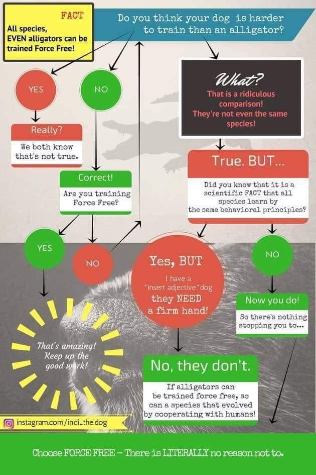 jazmmineTV's tweet image. #forcefree #sciencebasedtraining