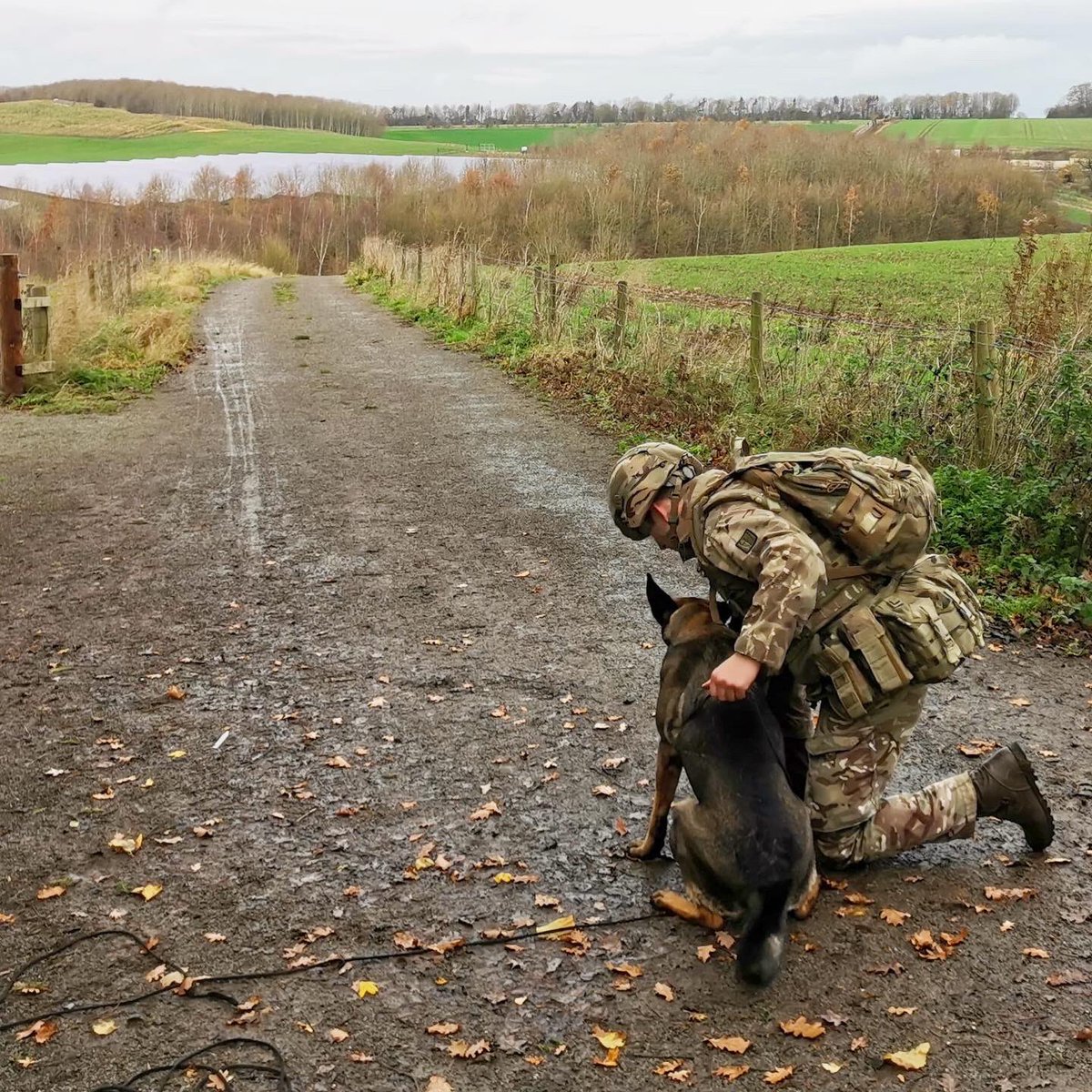 Defence Animal Training Regiment on Twitter "DATR’s latest High