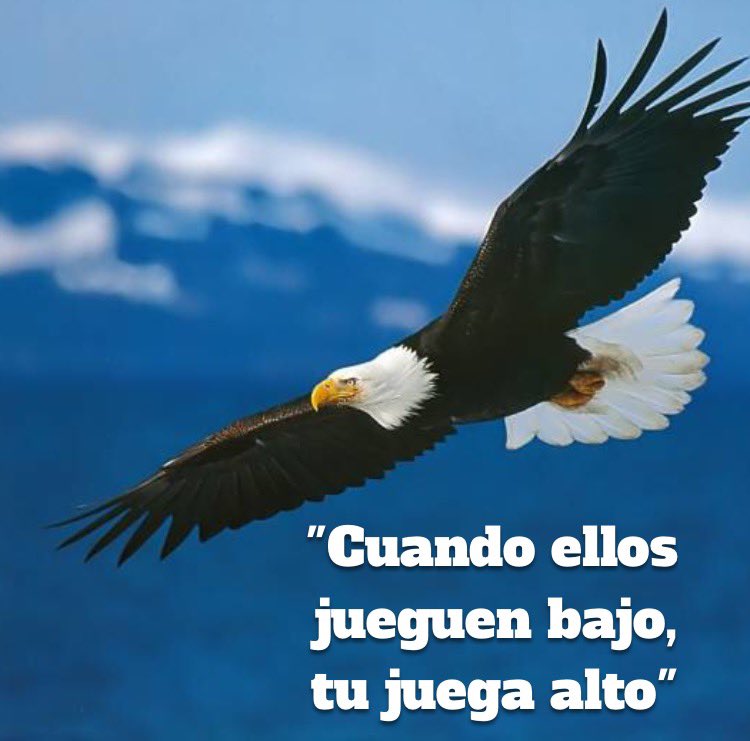 marioredondo's tweet photo. Hace rato tome una decisión de vida: enfocarme en construir, avanzar, dejar huella positiva. No voy a perder tiempo, ni distraerme en los tonterías que no edifican. https://t.co/YPTI6PVJgW