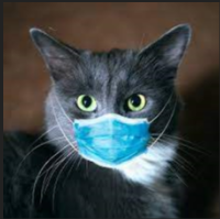 I think I found my favourite "malware" whilst searching for ransomware; it moves your files off your desktop elsewhere and adds many copies of a photo of a cat wearing a mask. 

If you say yes it will remove the cats and restore your files after having to "go for dinner"😂