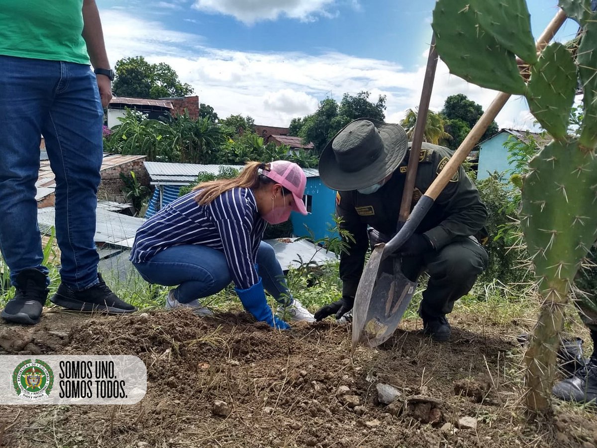 PoliciaCmarca's tweet photo. En 𝗚𝗶𝗿𝗮𝗿𝗱𝗼𝘁, con nuestro Grupo Ambiental @ProteccionPonal, @COL_EJERCITO, @CAR_Cundi, #DATMA y #Alcaldía realizamos jornada de recolección de desechos y la siembra de 20 árboles carboneros. https://t.co/aj2LSlN9Ji