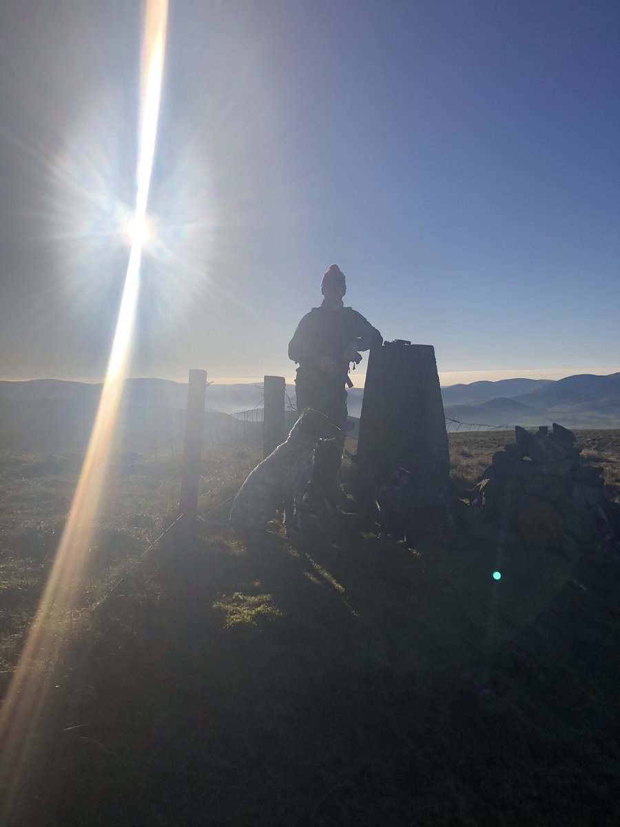 Hannah Cairns tweet media