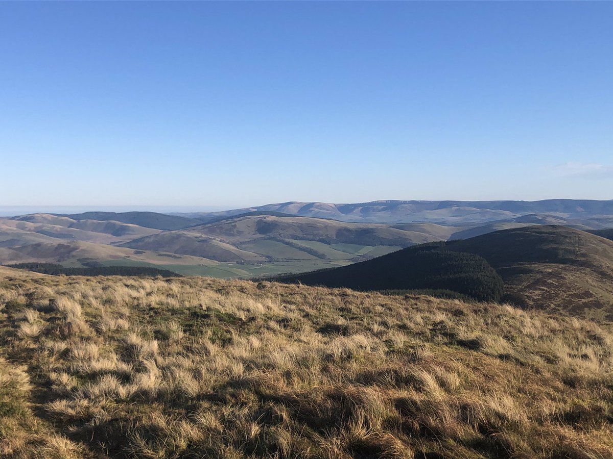 Hannah Cairns tweet media