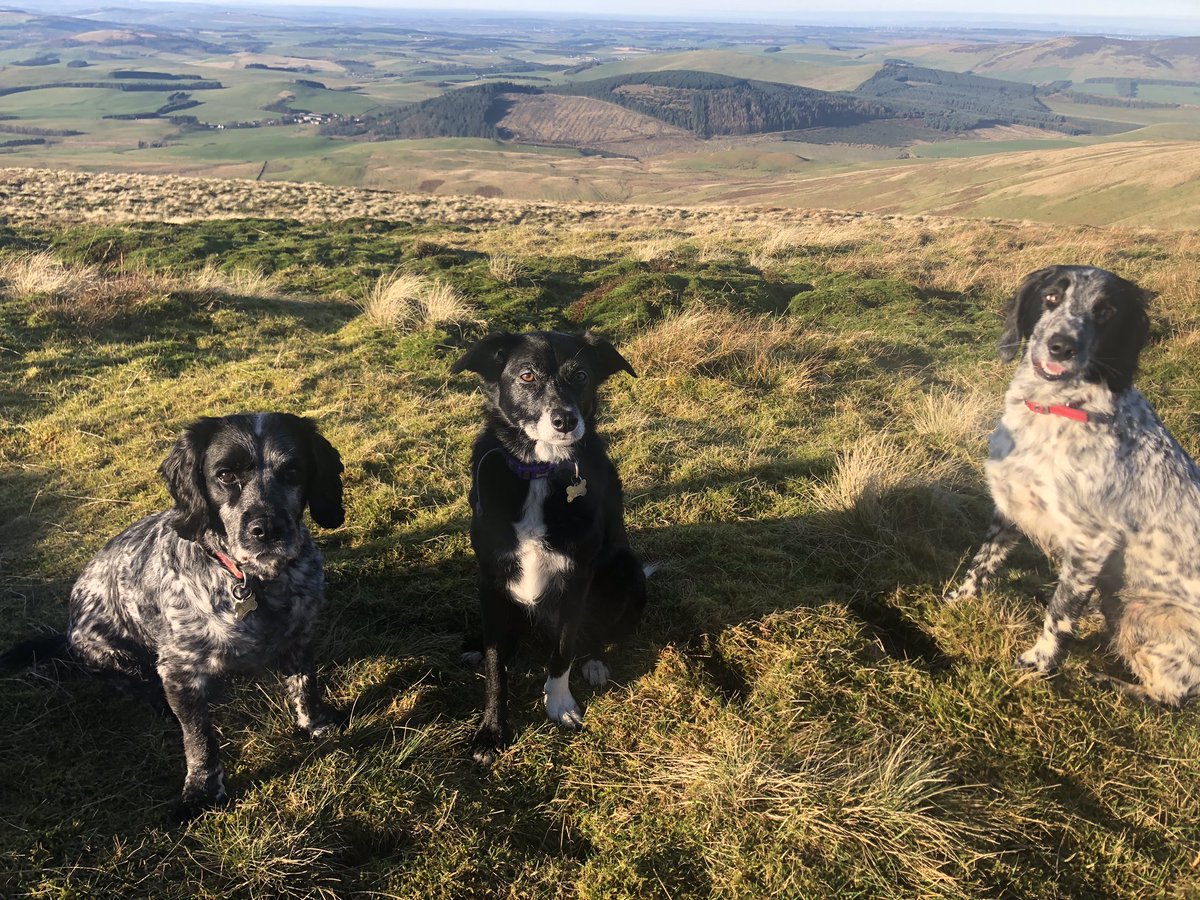 Hannah Cairns tweet media