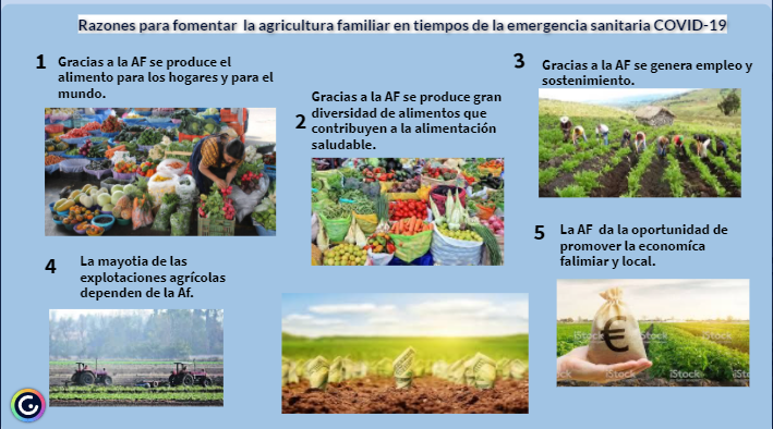 EstivenSalaza18's tweet photo. #SERVICIOSOCIALUNADISTAENCASA promoviendo la Agricultura Familiar @SISSU_UNAD https://t.co/FSbKMfqo6F