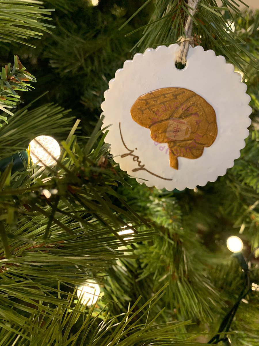 MediCuppa's tweet photo. 𝐶ℎ𝑟𝑖𝑠𝑡𝑚𝑎𝑠 𝑖𝑠 𝑐𝑜𝑚𝑖𝑛𝑔. 
Pide tus ornamentos navideños más cool 🌟🤩 
#handmade #clayornaments #medicalornaments #lovemed #christmasornaments #lovehopejoypeace https://t.co/lVsTxyU3ib