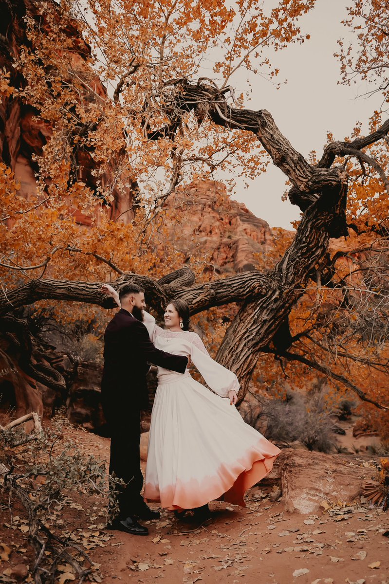 OwlLeeCec's tweet photo. Just me showing off my wedding dress. NBD. https://t.co/FJHeostiaK
