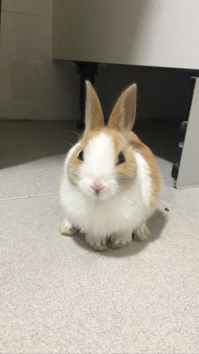 rociopadrino1's tweet image. NUNCA PIDO NADA PERO POR FAVOR NECESITO QUE SE SEPA. NO HAY DERECHO