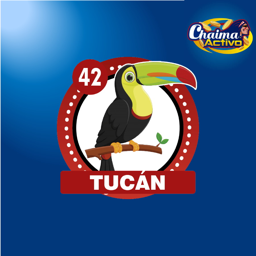 chaimaactivo's tweet image. Chaima Activo
28/11/2020
06:00 PM
42  - TUCAN
#28Nov #PagamosmasChaima Activo
