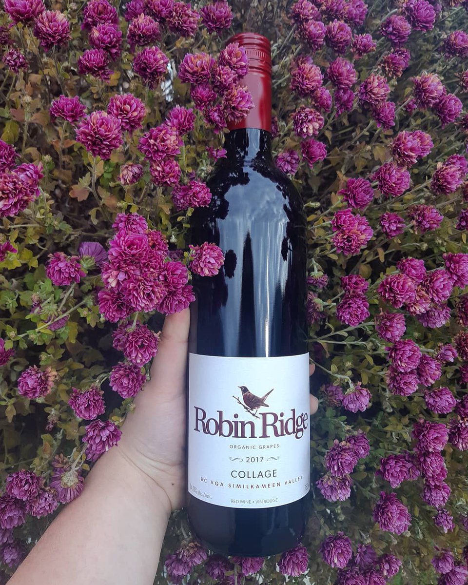 Try our delicious Fall releases today! 🍷

Visit us in the tasting room from 11-4 on Fridays and Saturdays, or shop online at robinridgewinery.com
#drinkwine #drinklocal #supportsmall