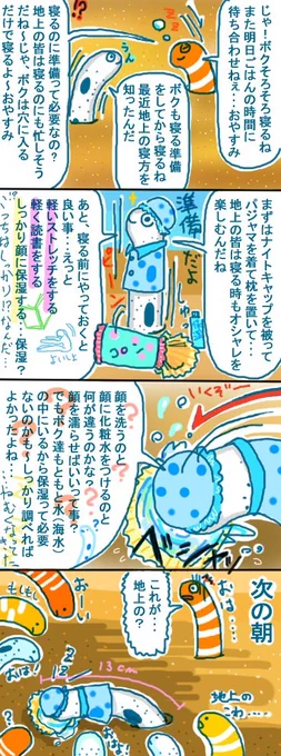 寝る前の準備?

#チンアナゴ
#ゆるい絵 
#オリジナル漫画 