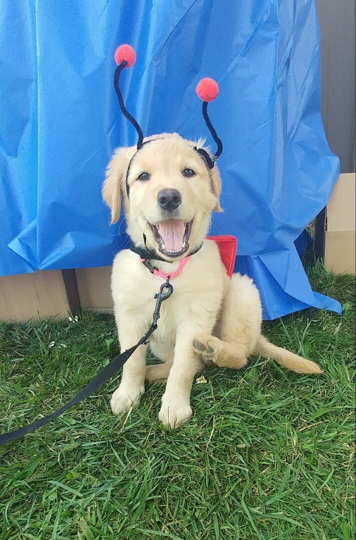 This is my baby girl Gracie who loves the blue wave too ⁦