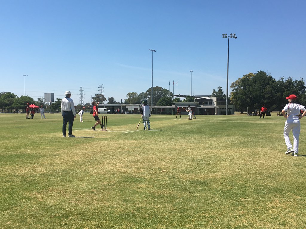 TerraceCricket's tweet photo. Meanwhile on Ron Oxenham and P&amp;F the incoming year 7’s have been facing off against each other in T20 matches. #matevmate https://t.co/irldQMiTvI