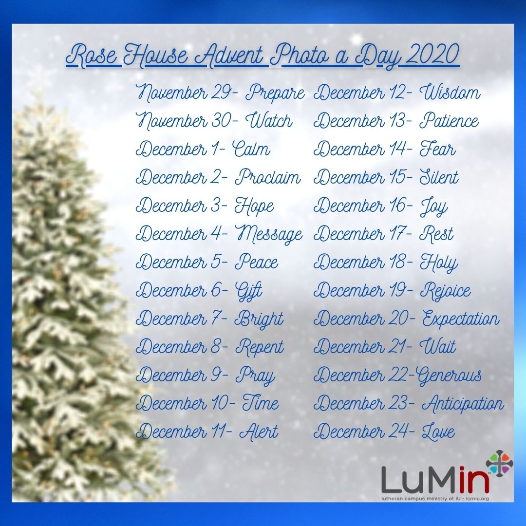 HoosierLuMin's tweet photo. #RoseHouseLuMin #Advent2020 https://t.co/89Rx5UvQ0t