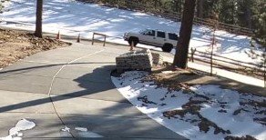 EPCSheriff's tweet photo. Sheriff's Office Investigates Theft Case.

Do you know him? Have you seen him? Call Deputy Michael Reed at 719-663-3059 or our Patrol Tip Line at 719-520-7777. #PorchPirate #Theft #CrimeWatch 

Media Release: https://t.co/M169y0j5JA https://t.co/dtvL5msOaq