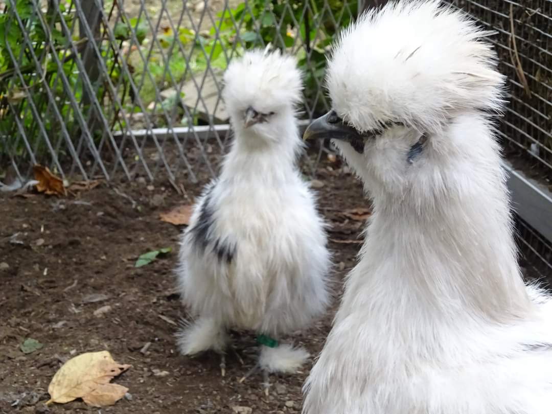 .bEnnY ツ tweet media