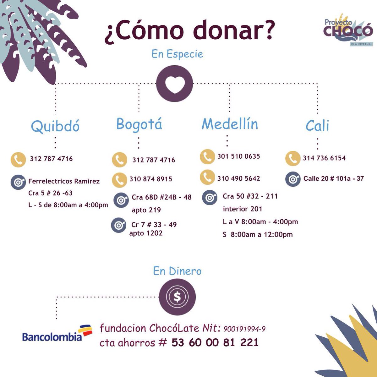 Proyecto Chocó tweet media