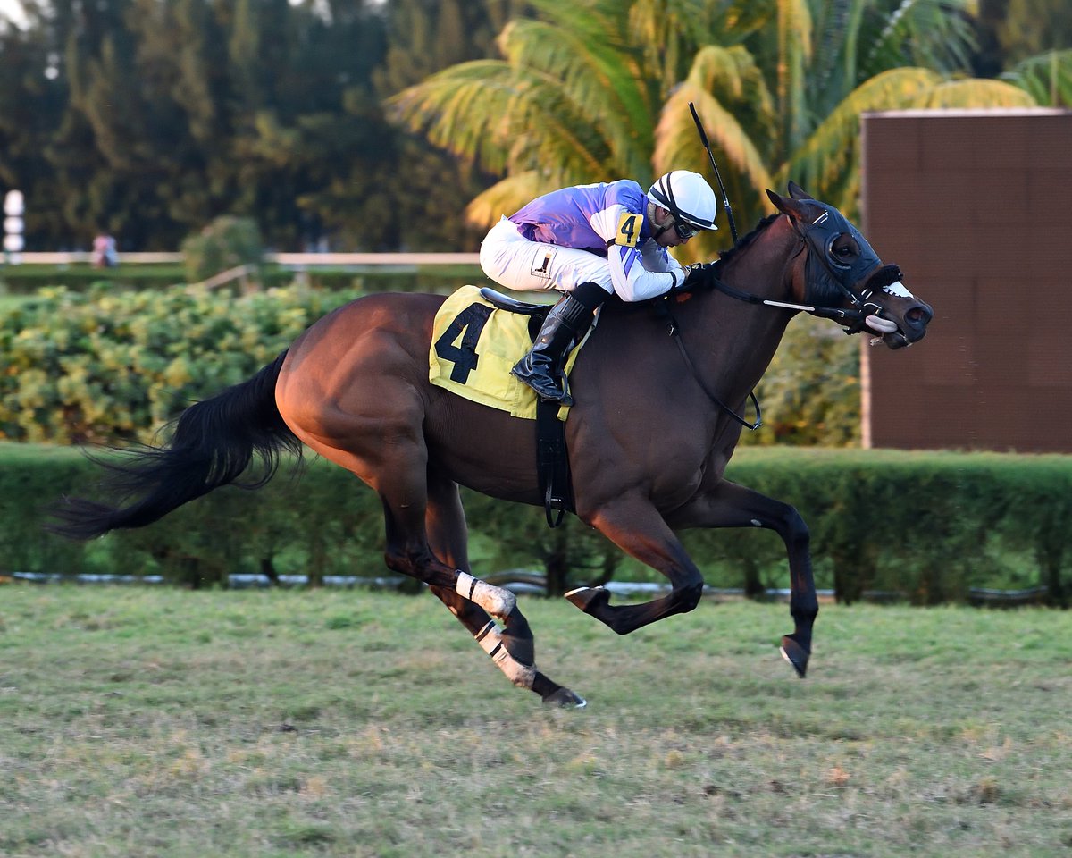 GulfstreamPark's tweet photo. Diligent and Víctor Lebron win the very last race at #GPWest for trainer Edward Plesa Jr. Thanks for all the memories #GulfstreamPark West! https://t.co/jV4MtXWHOk