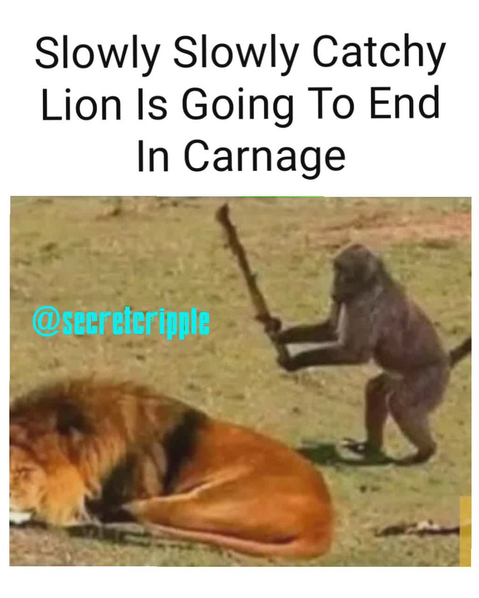 benwimbushSCORD's tweet photo. If 2020 Was A Monkey Thanks to everyone who still follows me i hope you're having a good weekend Here is the last #secretcripplememe which made me laugh💙Ben #benwimbushSCORD  #laughteristhebestmedicine #incompleteSCI #lifechanging not #lifeending If you laugh give it a like &amp; RT https://t.co/0syZW7DZKc