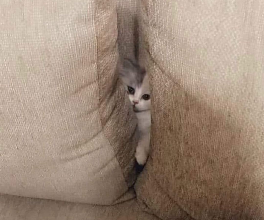 spcoxy1's tweet photo. me realizing how deep the metaphorical hole that i have been digging for myself actually is https://t.co/kSAiwVF4xq