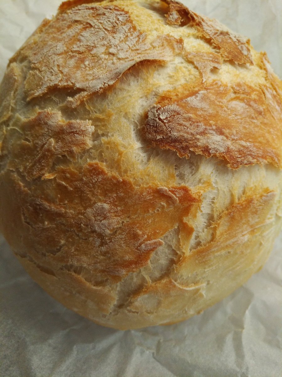UniqueCaptured's tweet image. #homemade #athome #rusticbread ( using the #smegoven )