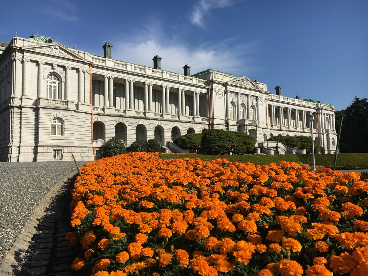 迎賓館赤坂離宮 Akasaka Palace マリーゴールドの見納め 主庭の花壇は来週水曜日から 葉牡丹 への植え替え作業を行います 青空に映える鮮やかな マリーゴールド が見られるのもあと少し 迎賓館赤坂離宮 は本日も10時から17時まで公開しています 迎賓館赤坂離宮 Akasaka Palace マリーゴールドの見納め 主庭の花壇は来週水曜日から 葉牡丹 への植え替え作業を行います 青空に映える鮮やかな マリーゴールド が見られるのもあと少し 迎賓館赤坂離宮 は本日も10時から17時まで公開しています