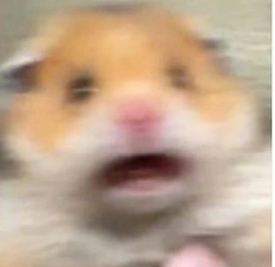 ColourPopCo's tweet photo. me realizing I only bought gifts for myself 🎁 https://t.co/Ma4ees9hcV