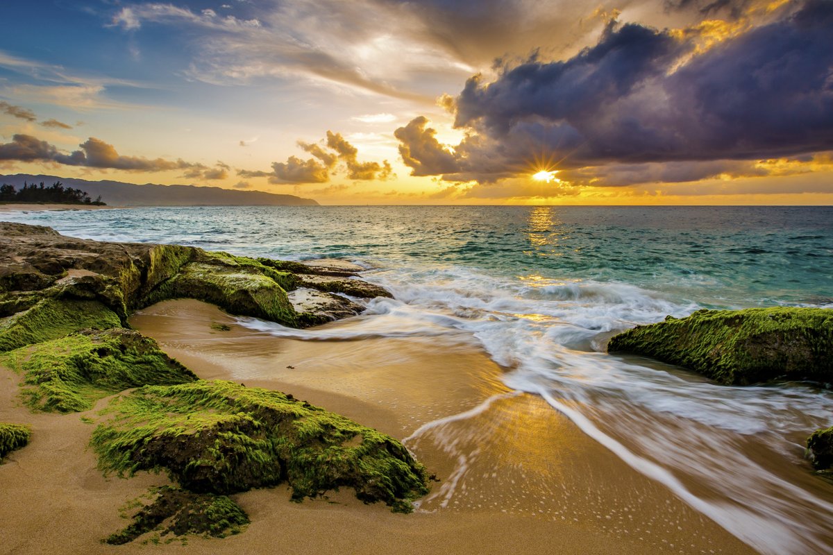 specialglobe's tweet photo. Excited to share the latest addition to my #etsy shop: Oahu, Hawaii Family Travel Guide https://t.co/mhetoN7k19 #travel #hawaii #itinerary #familytrip #travelguides #hotels #restaurants #activities #beach https://t.co/hAHachjJ6z