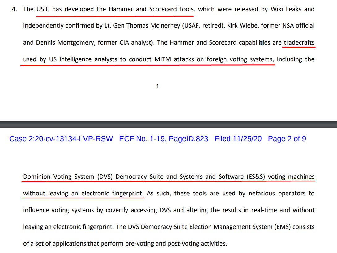 Dr. Keshavarz-Nia also confirmed the existence of "Hammer and Scorecard" as "tradecrafts used by US intelligence analyst to conduct Man-In-The-Middle attacks on foreign voting systems" and concludes that a similar cyber attack was carried out on the 2020 US election.