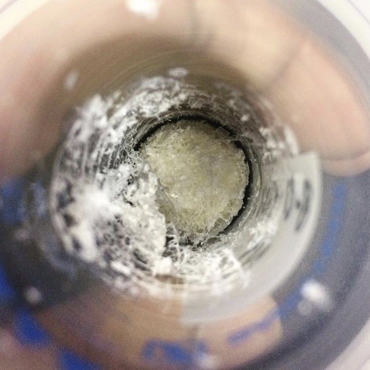 7We were also able to extract this fluffy collagen from the bone samples for stable isotope analysis. I was so delighted with how well-preserved the samples were, I had to take a photo! As well as the excitement at holding the remains from an ancestor that can tell us so much!