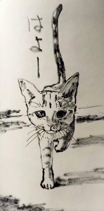 おはようございます! 