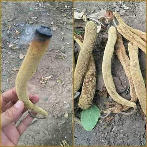 ☀️☯️ Ĕxčèĺ Ďèé🌏🌱 tweet media