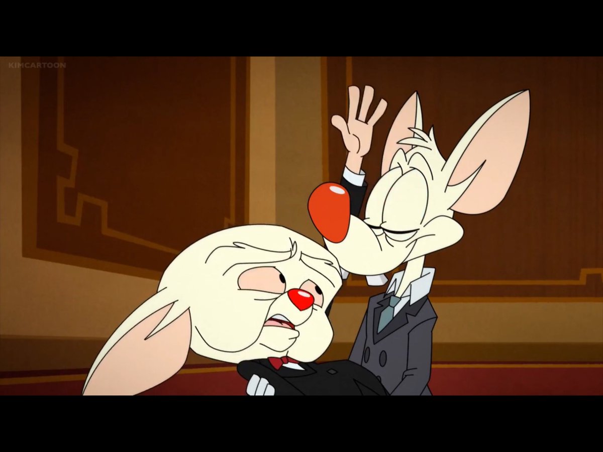 Pinky and brain. Аниманьяки Пинки и Брейн. Брейн из мультика.