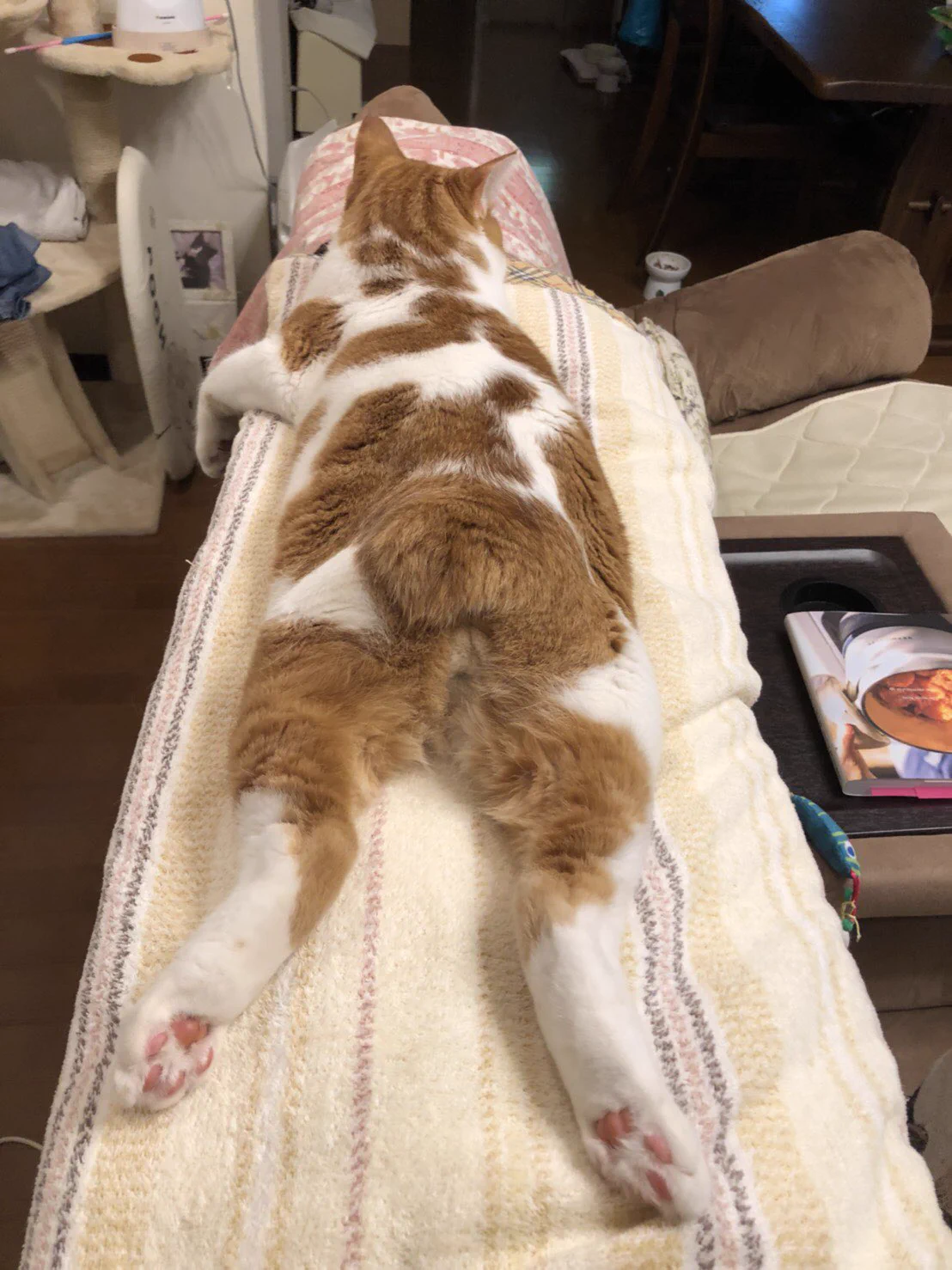 @hunter_al_nor するんです 