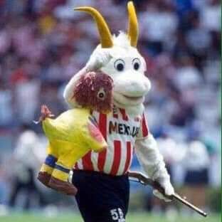 lauchivita123's tweet photo. @Chuyo12gdl #100prechivas😍🇨🇵😍🇨🇵 https://t.co/hu7TaYj1BK
