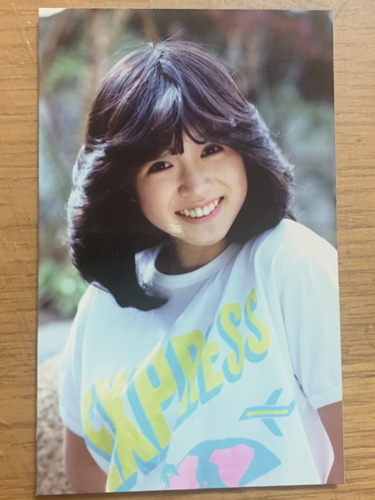 中森明菜　カードケース　ブロマイドケース　プロマイドケース 中森明菜 カードケース ブロマイドケース プロマイドケース