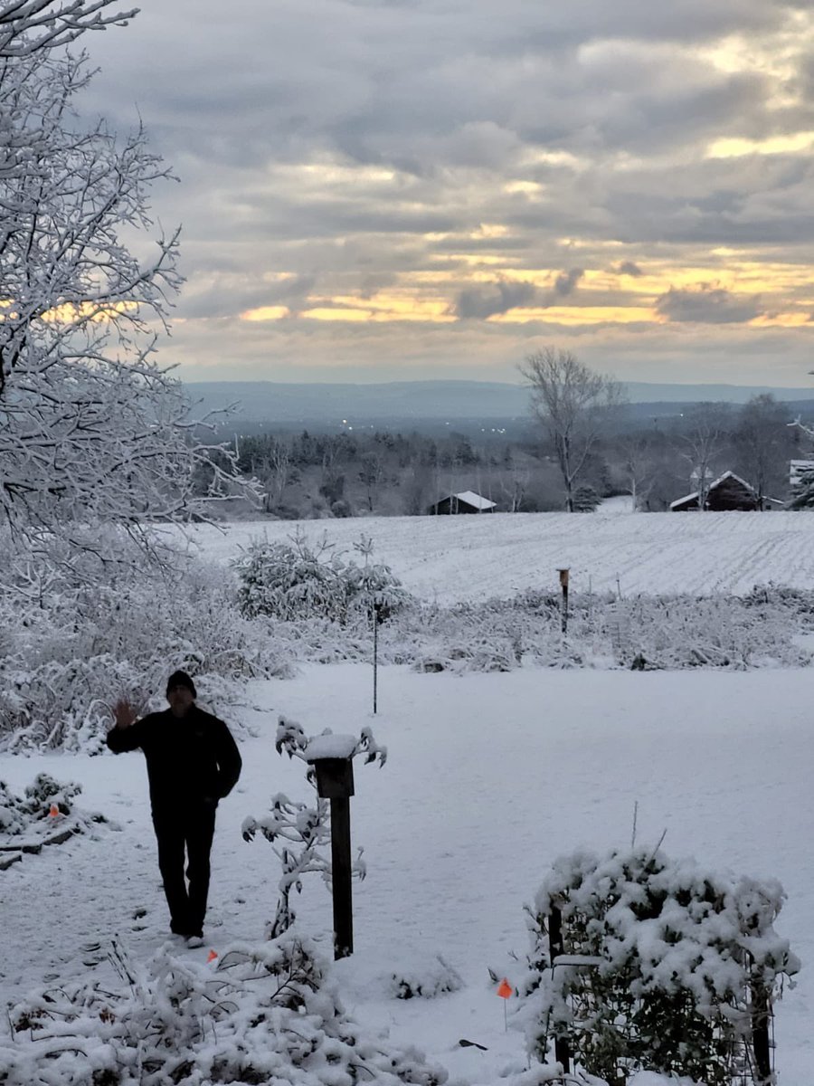 ThomasWrege's tweet photo. My brother’s farm in central New York. #missingsnow https://t.co/btpiATbvRW
